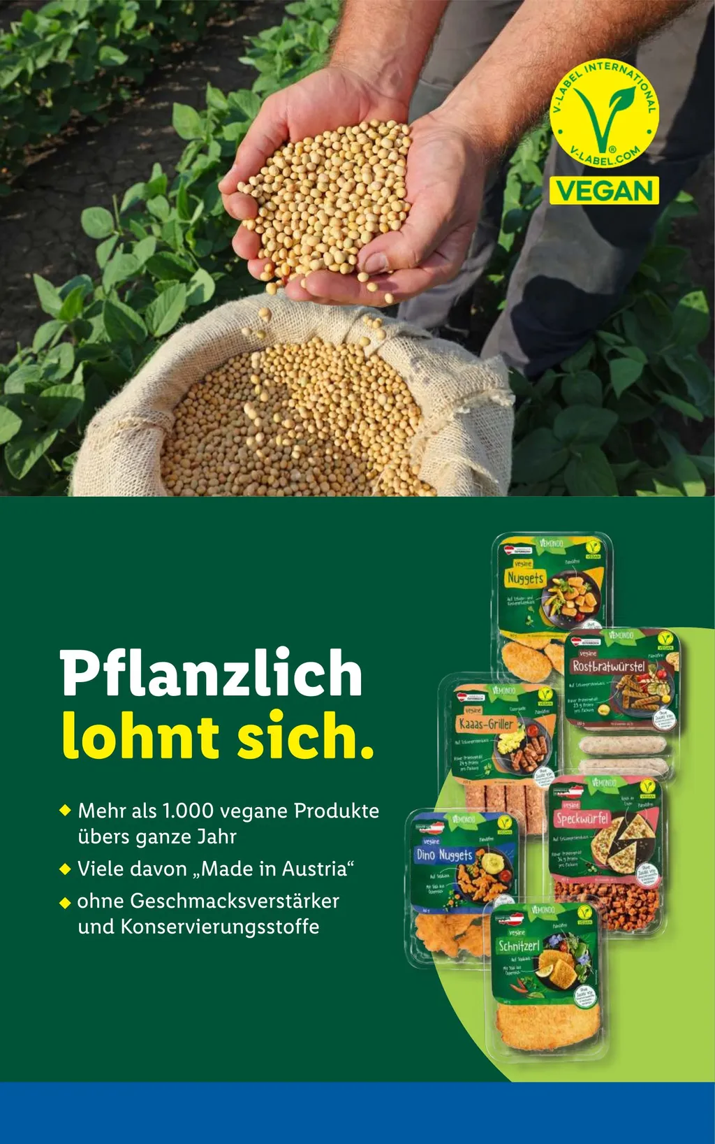 Lidl Flugblatt Ab 21.05.2026 Bis 27.05.2026 - Seite
